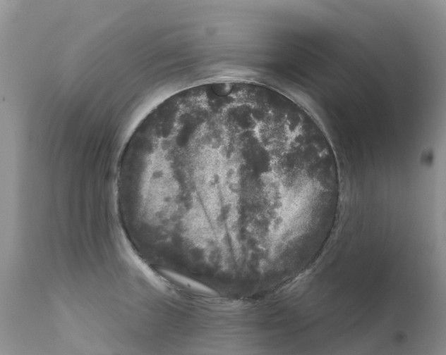 X0000111641235200908141359