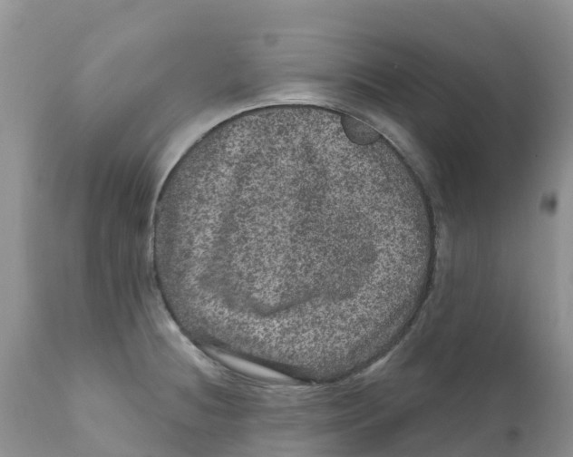 X0000111641236200908141359