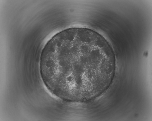 X0000111641237200908141359