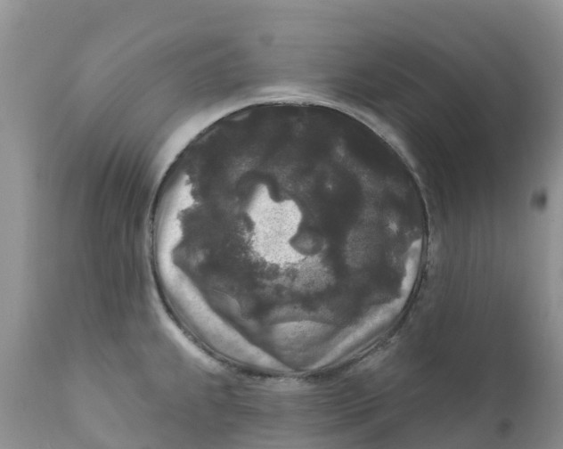 X0000111641239200908141359