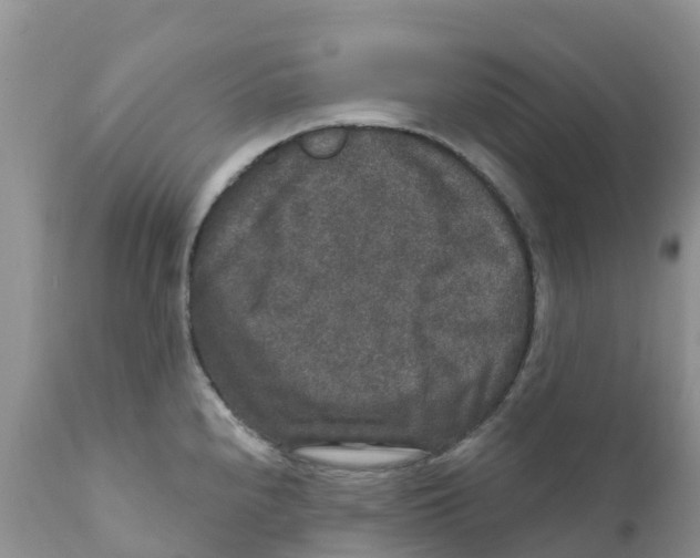 X0000111641240200908141359