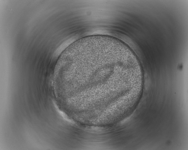 X0000111641241200908141359