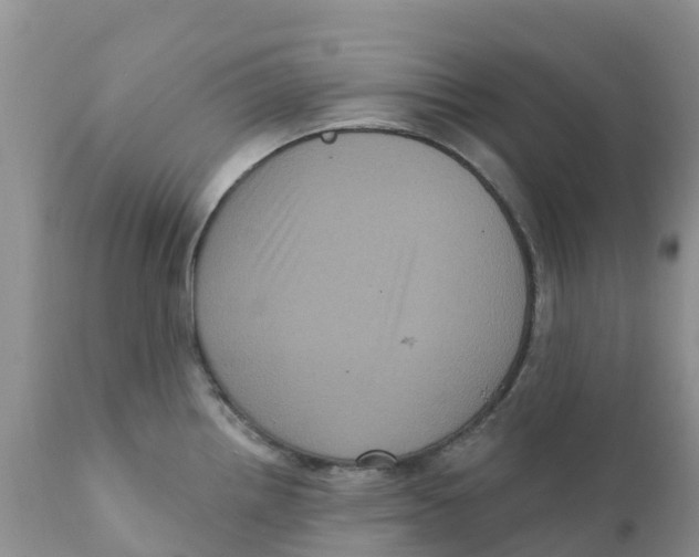 X0000111641242200908141359