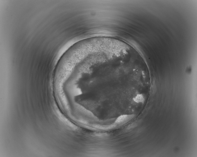 X0000111641243200908141359