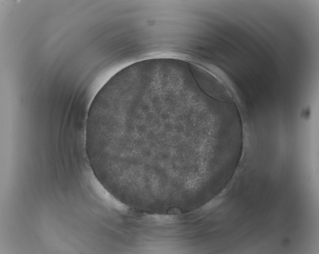 X0000111641244200908141400