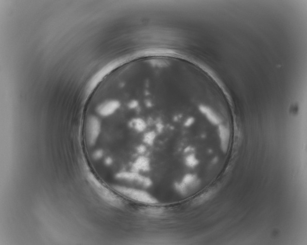 X0000111641245200908141400