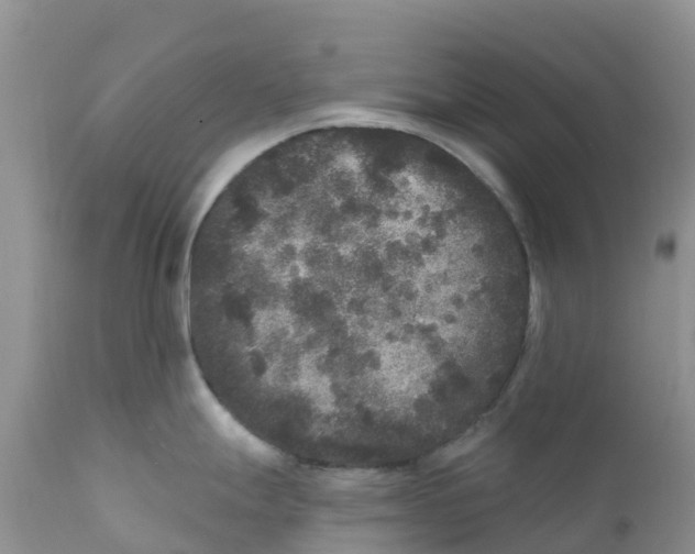 X0000111641247200908141400