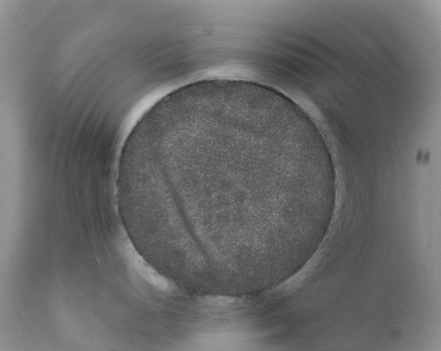 X0000111641248200908141400