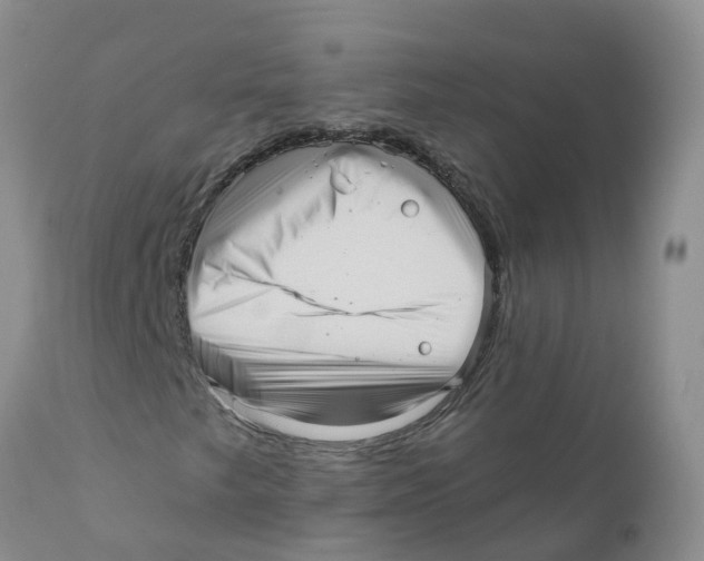 X0000111641249200908141359