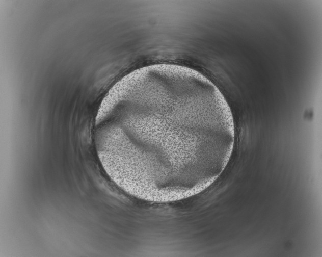 X0000111641250200908141359