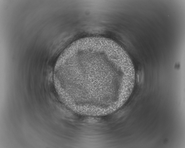 X0000111641251200908141359
