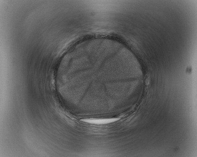 X0000111641252200908141359