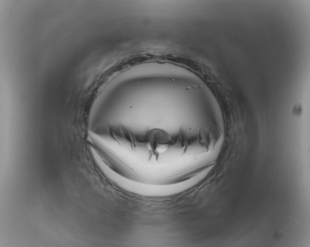 X0000111641253200908141359