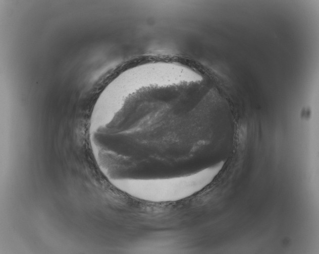 X0000111641254200908141359