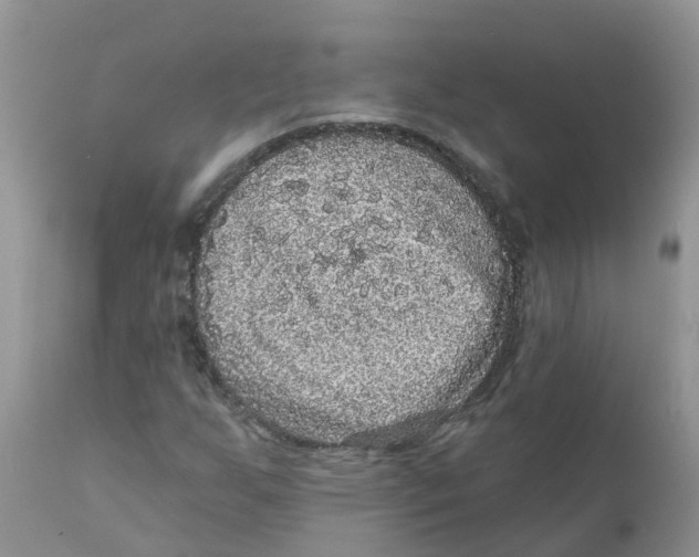 X0000111641255200908141359