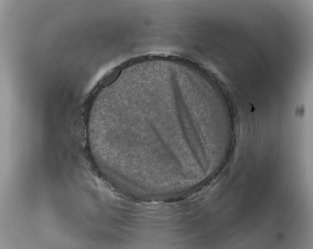 X0000111641256200908141359