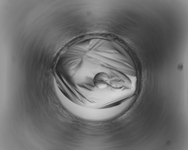 X0000111641257200908141359