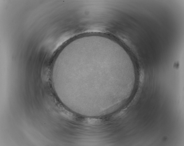 X0000111641258200908141359