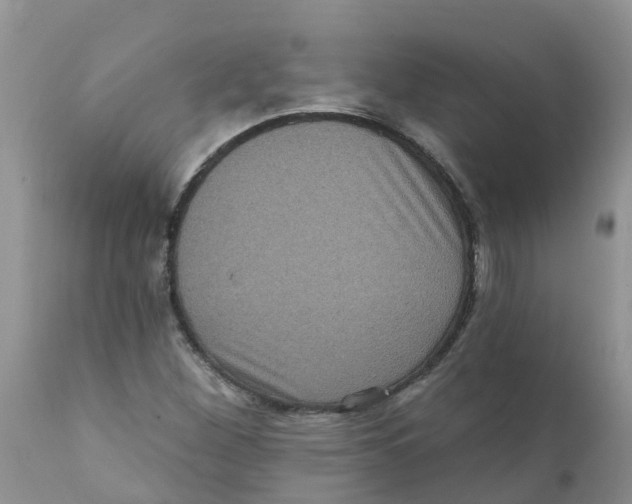 X0000111641260200908141359
