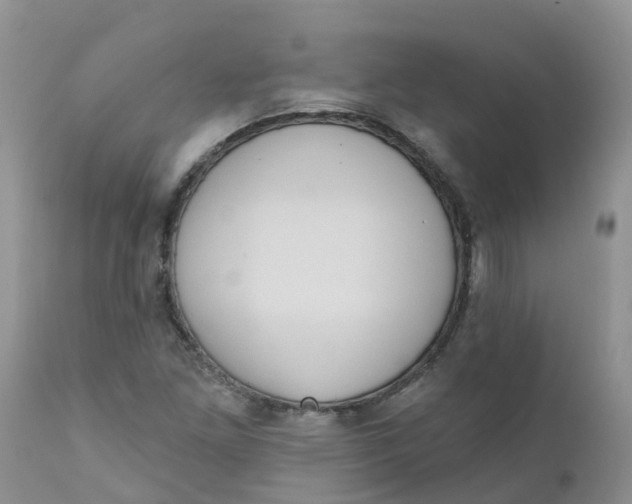 X0000111641261200908141359