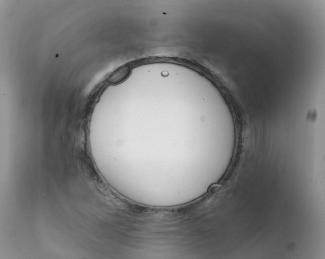 X0000111641262200908141359