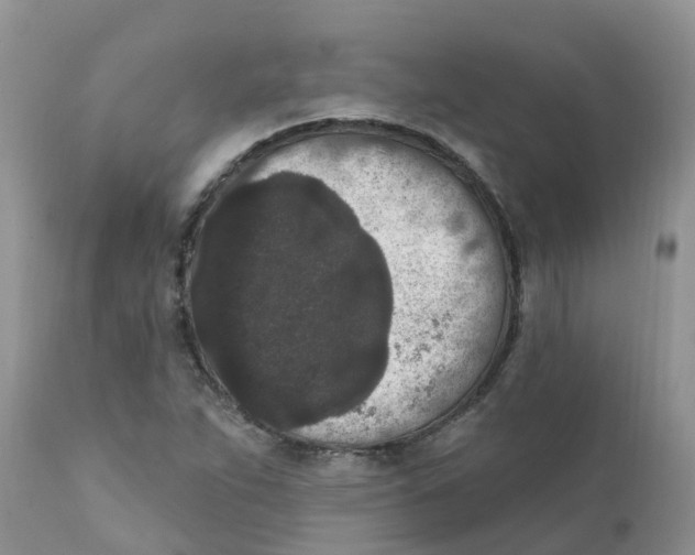 X0000111641263200908141359