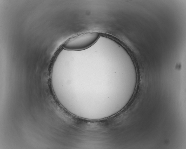X0000111641264200908141359