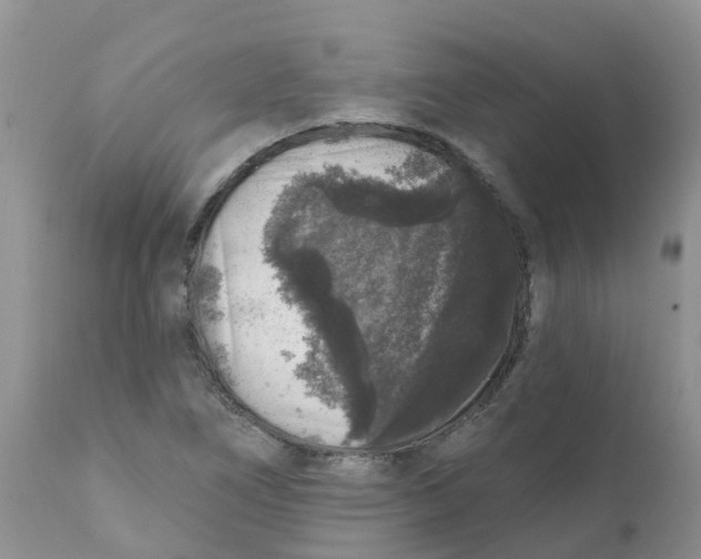 X0000111641266200908141358