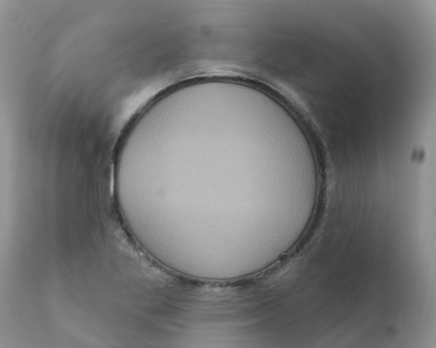 X0000111641269200908141358