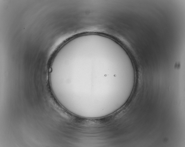X0000111641270200908141358