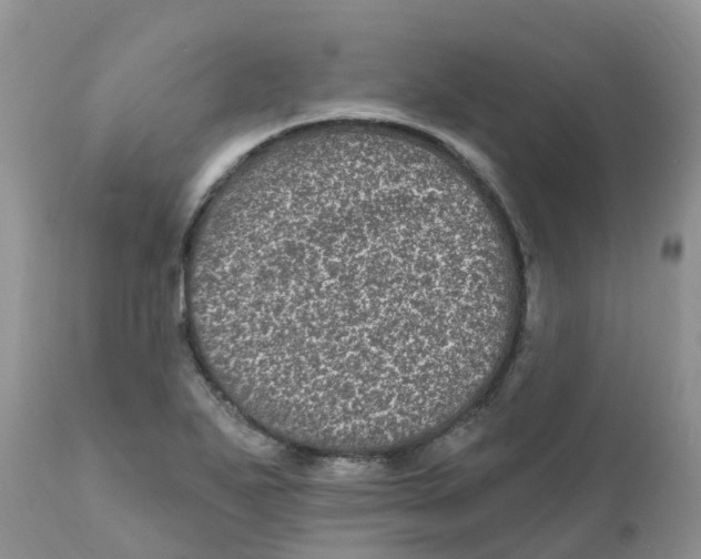 X0000111641271200908141358