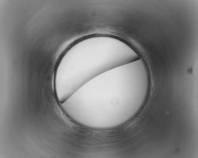 X0000111641272200908141358