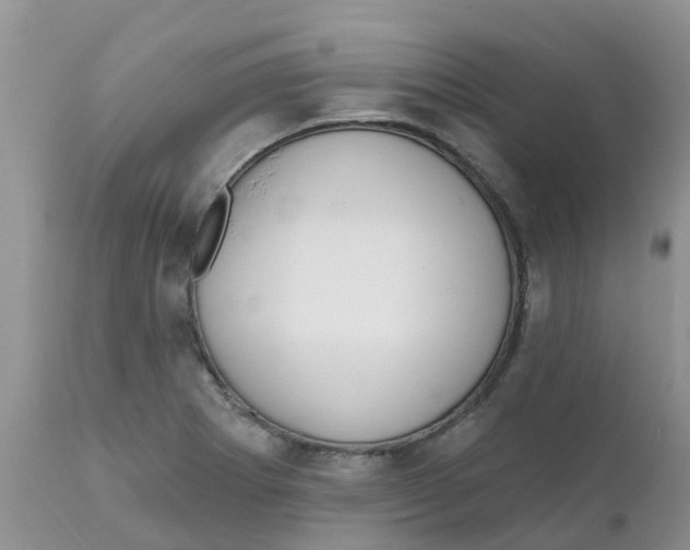 X0000111641273200908141358