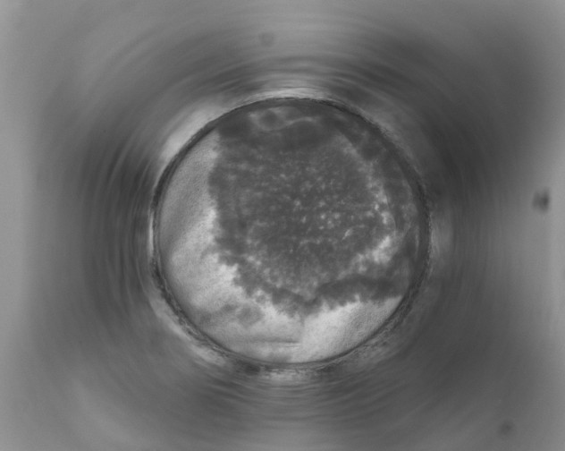 X0000111641274200908141358