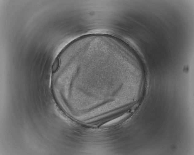X0000111641276200908141358