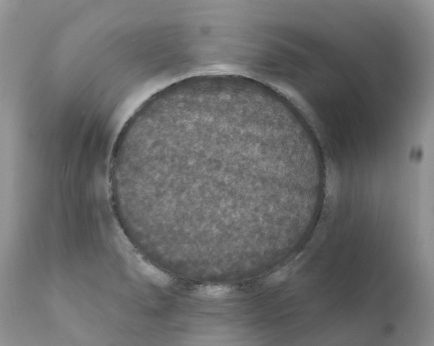 X0000111641278200908141358