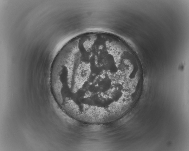 X0000111641279200908141358