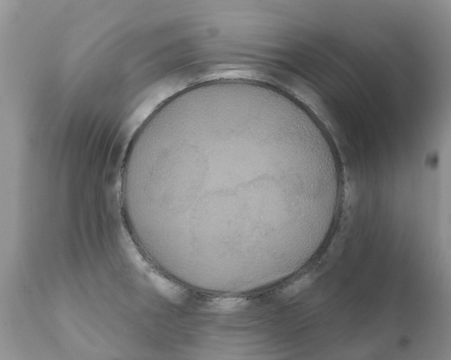 X0000111641282200908141358