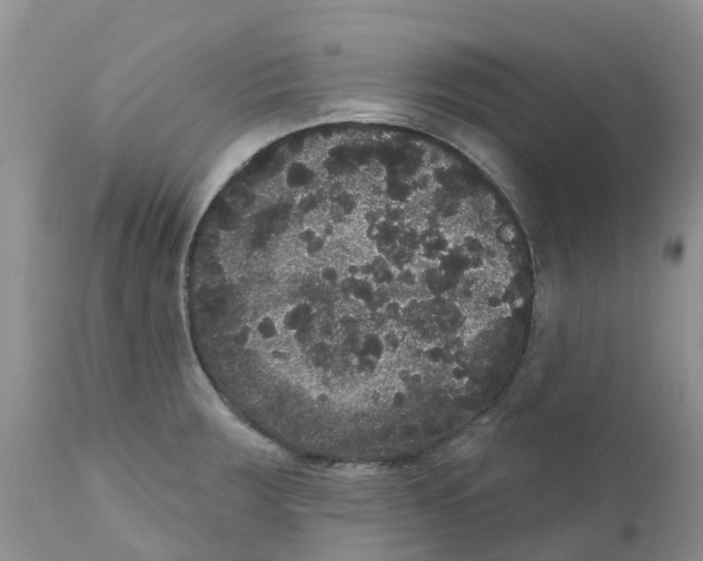 X0000111641283200908141358