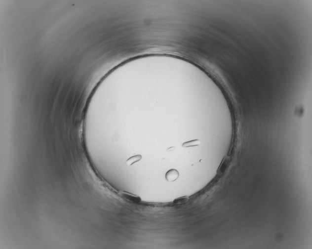 X0000111641284200908141358