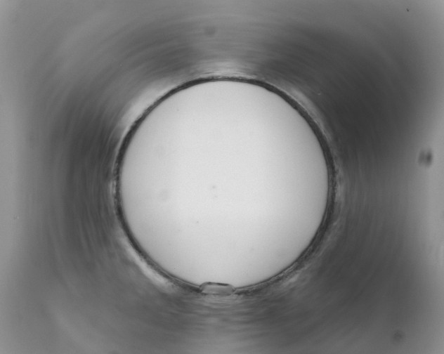 X0000111641285200908141358