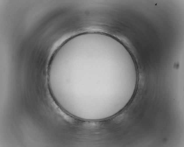 X0000111641286200908141358