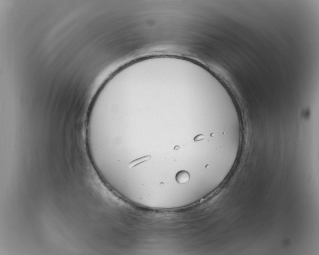 X0000111641288200908141358