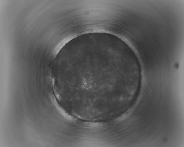 X0000111641289200908141358