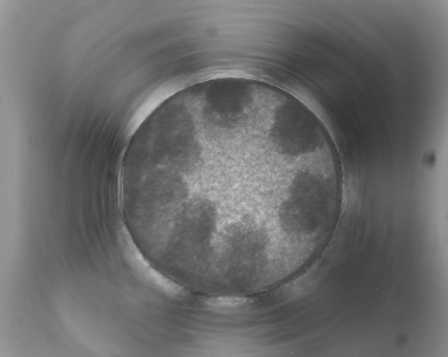 X0000111641290200908141358