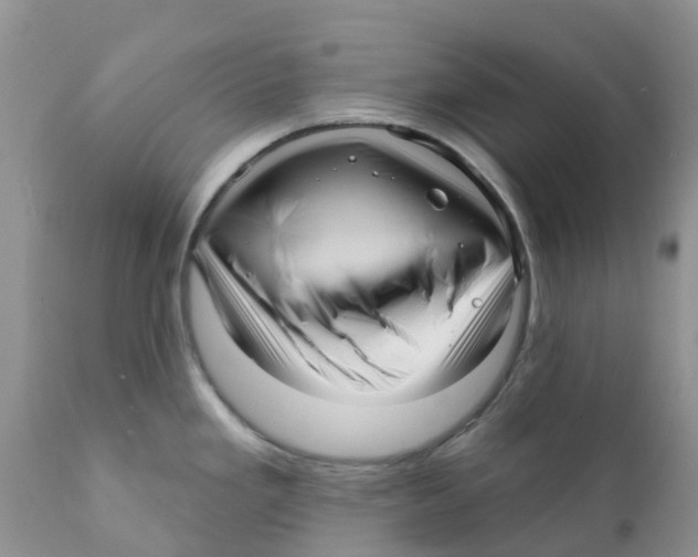 X0000111641293200908141358