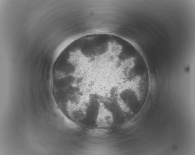 X0000111641294200908141358