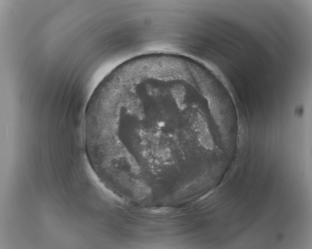 X0000111641295200908141358