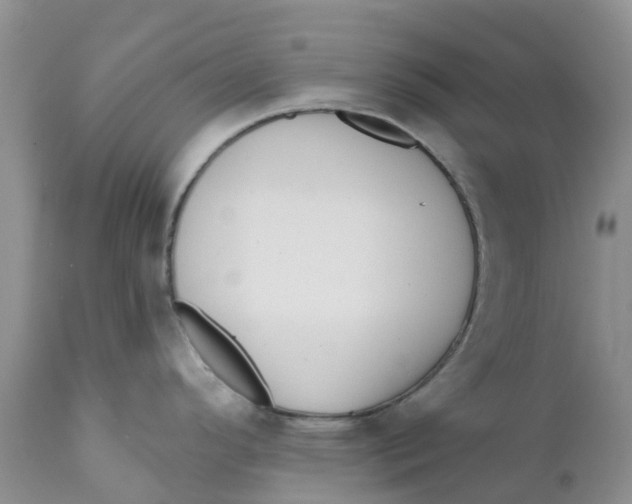 X0000111641296200908141358