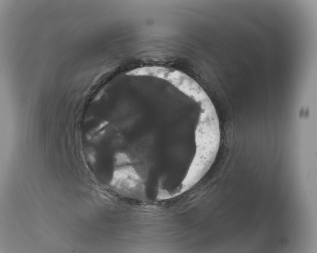 X0000111641297200908141357